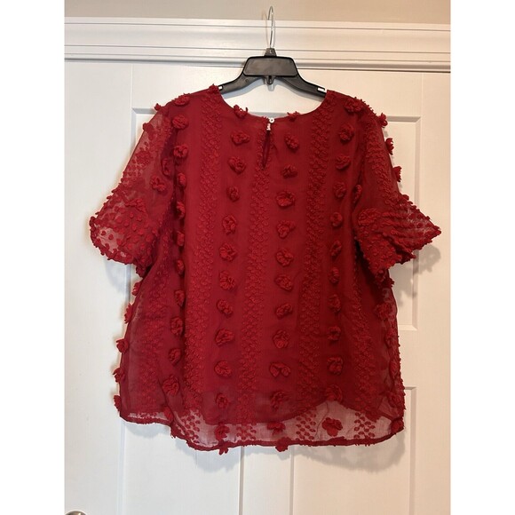 Entro Modest High Neck Lined Sheer Sleeve Blouse Top Dotted Swiss Boho Size Xl - Picture 5 of 5